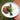 Disposable 24cm round plate