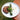 Disposable 24cm round plate