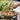 Paella Set With Gas Burner - 2 Styles