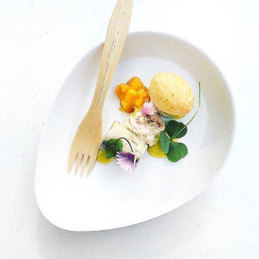 Sucadrops Large Plate - home compostable