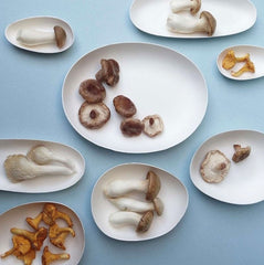 Organic Plate Bagastro - 3 sizes