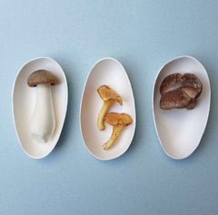 Organic Plate Bagastro - 3 sizes