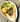 Single use Sucadrops plate bagasse 