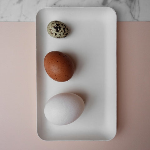 Disposable Plate Bagastro Rectangular