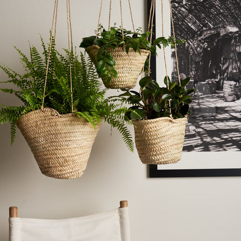 Hanging Baskets - Set 3