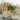 Market Baskets hand made in Morocco 