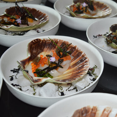Single use large bowl - made from bagasse 