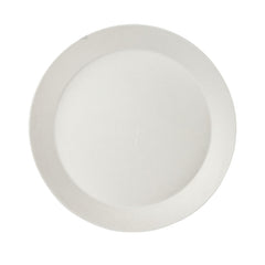 Single use Large Plate - strong and sturdy 